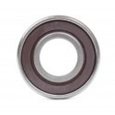 1000085 (618/5 2RS) (CX)