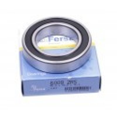 180109 (6009 2RS) (Fersa)