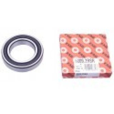 180109 (6009-2RSR) (FAG)