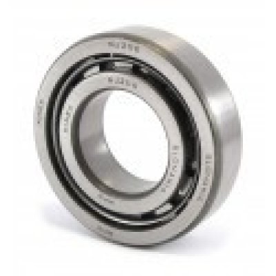 42206 (NJ206) (Kinex ZKL)