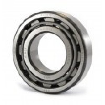 42207 (NJ207) (Kinex ZKL)