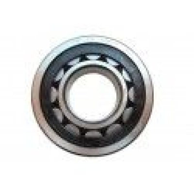 42308 (NJ308-E-TVP2) (FAG)