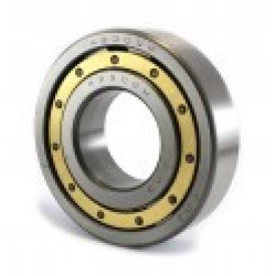 42309Л (NJ309M) (Россия)