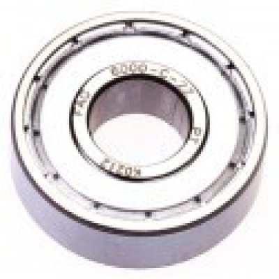 80100 (6000-2Z) (FAG)