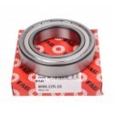 80109 (6009-2Z-C3) (FAG)