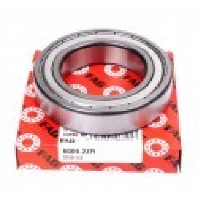 80109 (6009-2Z) (FAG)