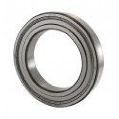 80113 (6013-2Z) (SKF)