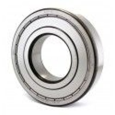 80313 (6313-2Z) (SKF)